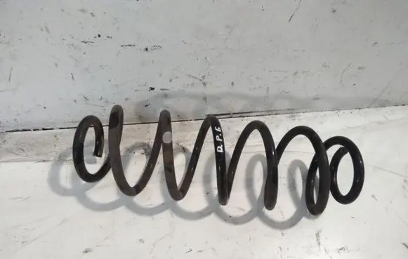 Volkswagen Golf VI Rear coil spring
