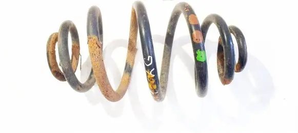 Rear coil spring