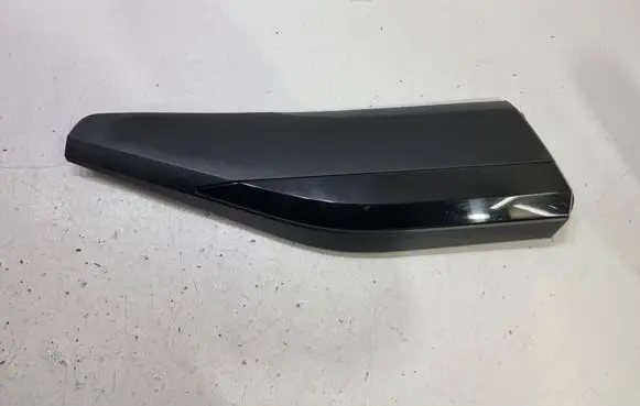 Rear door trim (molding)