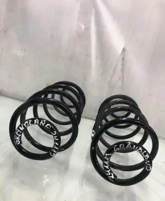 Opel Grandland X Rear coil spring