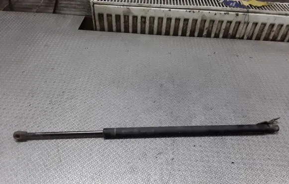 Chrysler Pacifica Tailgate/trunk strut/damper