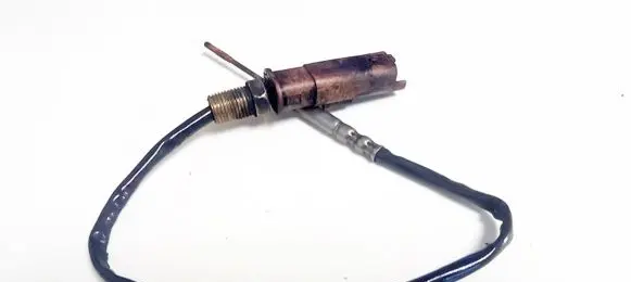 Peugeot Partner Exhaust gas temperature sensor 9665090280