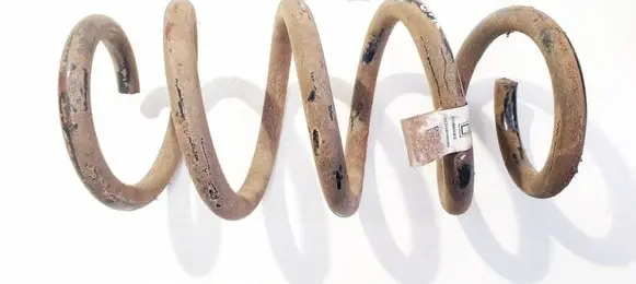 Rear coil spring