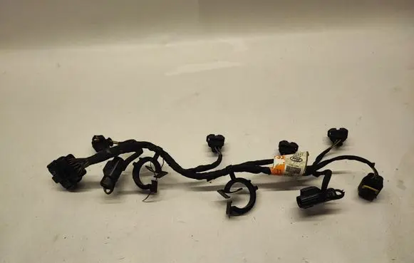 Ford Mustang VI Other wiring loom FU5T14B485CC