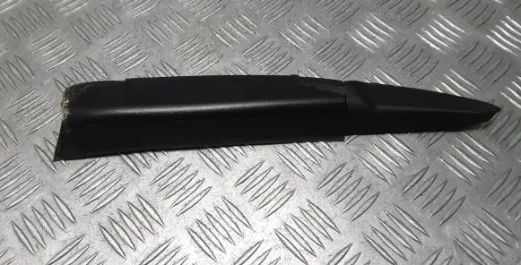 Rear/tail light trim molding
