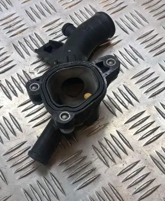 Thermostat/thermostat housing