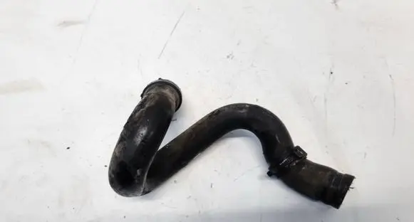 Mercedes-Benz A W169 Engine coolant pipe/hose A1698301596