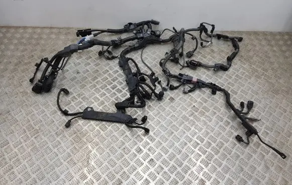 Toyota RAV 4 (XA50) Engine installation wiring loom 8209033010 8212142 200714