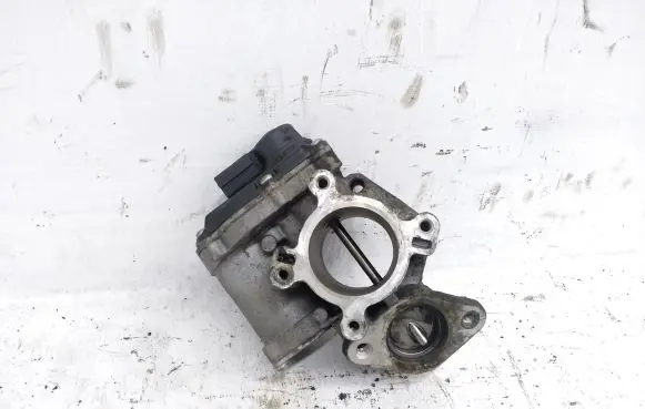 EGR valve