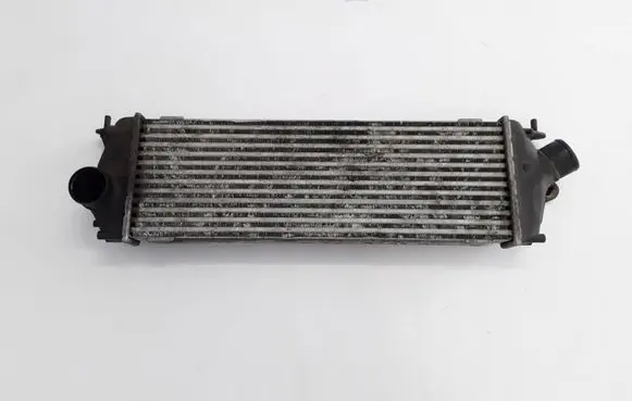 Opel Vivaro Intercooler radiator 820041160