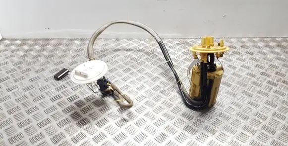 Volvo XC90 In-tank fuel pump 0580303065 30792518