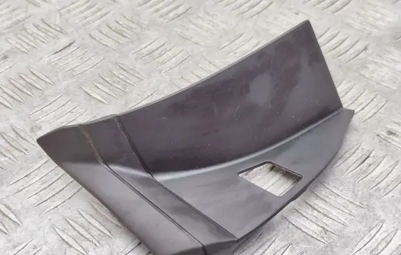 Rear/tail light trim molding