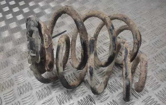 Renault Modus Rear coil spring