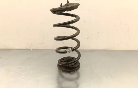 Tesla Model 3 Highland Rear coil spring 134447100B