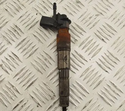 BMW X5 E70 Fuel injector 7808089