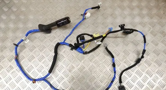 Front door wiring loom