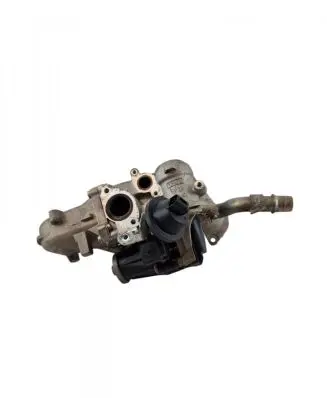 Citroen C3 EGR valve 50563908