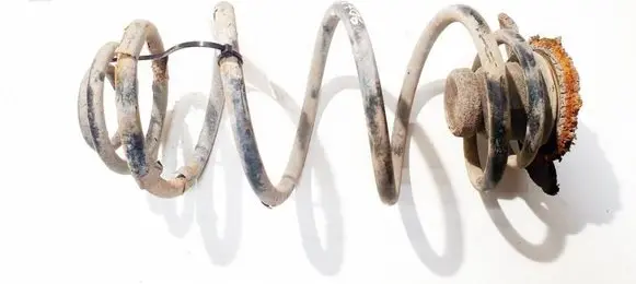 Rear coil spring