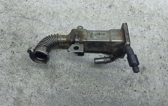 Renault Scenic II - Grand scenic II EGR valve cooler 8200463548