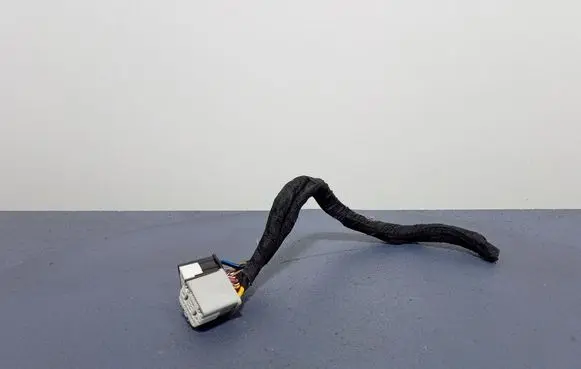 Ford Ecosport Other wiring loom