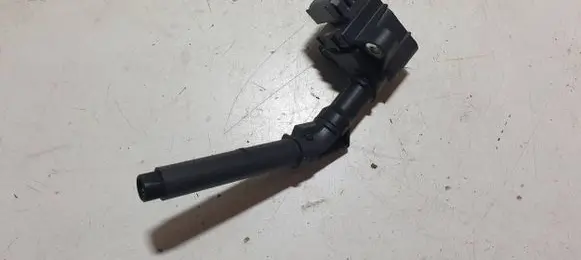 Dacia Jogger High voltage ignition coil A2829060000 224332935R