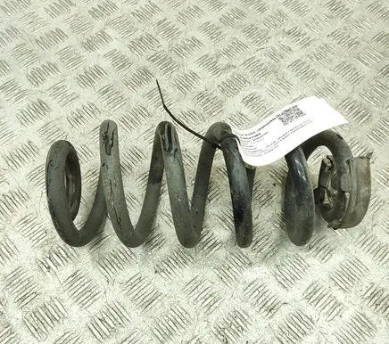 Skoda Enyaq iV Rear coil spring 1EA511103E