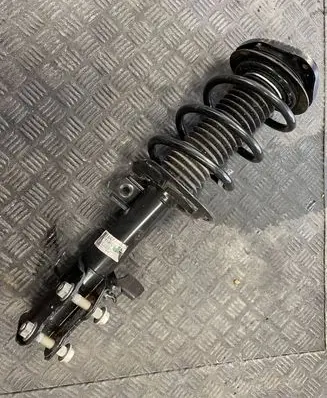 Ford Kuga III Front shock absorber with coil spring LX6118045SBE