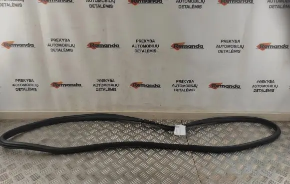 Mini Cooper Countryman R60 Rear door rubber seal (on body) 