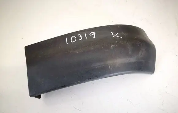 Rear/tail light trim molding