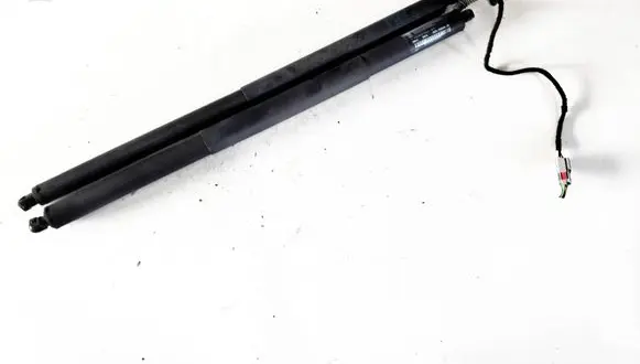 Ford S-MAX Tailgate/trunk strut/damper EM2BR402A55AB 021078962300189
