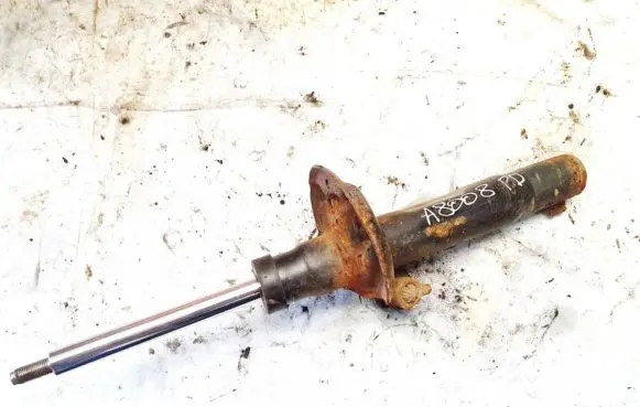 Volkswagen Golf V Front shock absorber/damper g16496