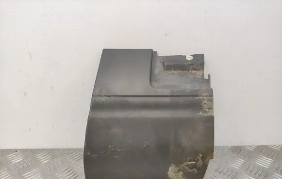 Fender trim (molding)