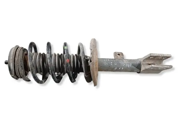 Citroen C4 II Front shock absorber with coil spring 