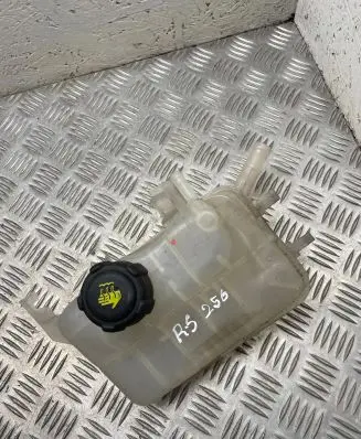 Renault Scenic III - Grand scenic III Coolant expansion tank/reservoir 217100005r