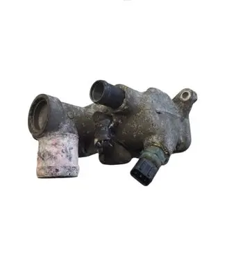Thermostat/thermostat housing