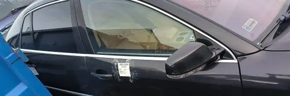 Volkswagen Phaeton Front door LR9V