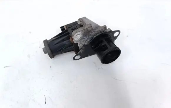 Nissan Juke I F15 EGR valve 50797503 5079750300