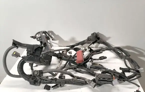 Engine installation wiring loom