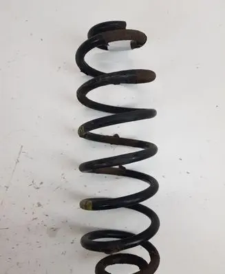 Volkswagen PASSAT B6 Rear coil spring