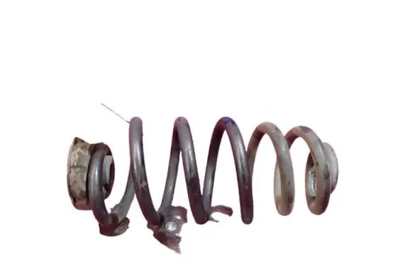 Rear coil spring