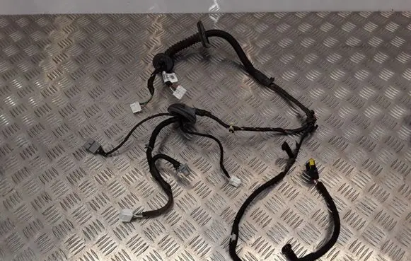 Nissan Qashqai Front door wiring loom 24125JD06C
