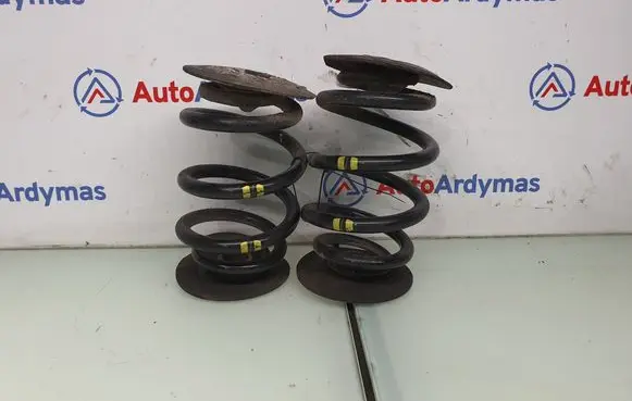 Rear coil spring