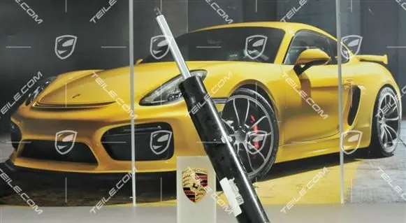 Porsche Cayenne (92A) Rear shock absorber/damper 95833305100