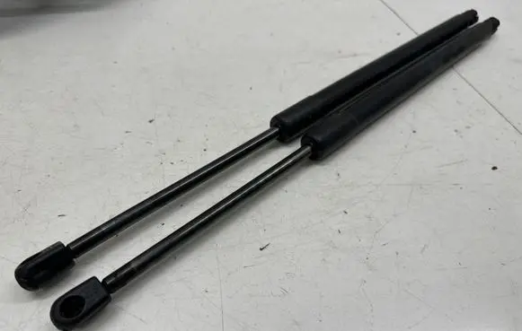 Tailgate/trunk strut/damper