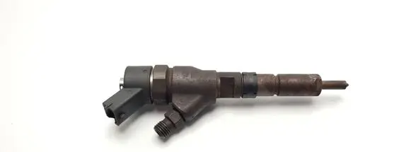 Peugeot 406 Fuel injector 0445110008 9635196580