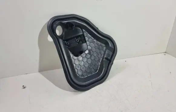 Other rear door trim element