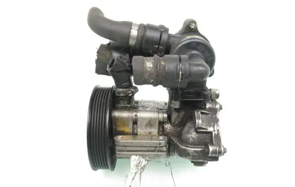 BMW 3 E46 Power steering pump 7500592