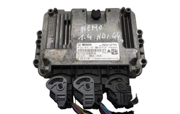 Engine control unit/module ECU