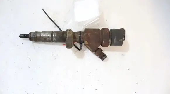 Renault Scenic I Fuel injector 0445110110B