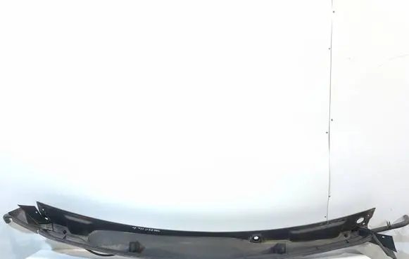 Wiper trim